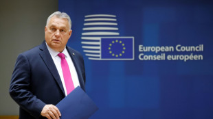 Hungr&iacute;a lanza una nueva consulta nacional anti-UE 