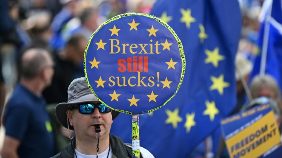 "On veut revenir" clament des manifestants pro-UE &agrave; Londres