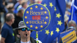 "On veut revenir" clament des manifestants pro-UE &agrave; Londres
