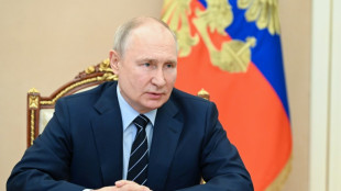 C&eacute;r&eacute;ales ukrainiennes: Erdogan confiant sur un futur accord avec Poutine