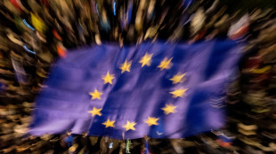 Umfrage: Erstw&auml;hlende f&uuml;hlen sich schlecht &uuml;ber EU-Parlament informiert