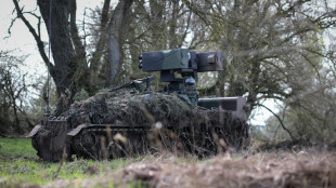 H&ouml;gl fordert n&ouml;tige Haushaltsmittel f&uuml;r Ausstattung der Brigade in Litauen