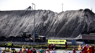 Plusieurs centaines d'activistes forcent les barri&egrave;res d'un site de Tata Steel  