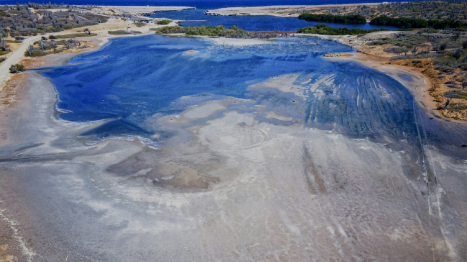 Court orders Dutch to protect Caribbean island from climate change