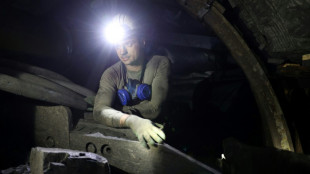 Ukraine: les exil&eacute;s de l'occupation russe au secours des mines de charbon