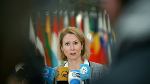 Kallas: EU-L&auml;nder fordern Aus f&uuml;r russisches Milit&auml;r in Syrien