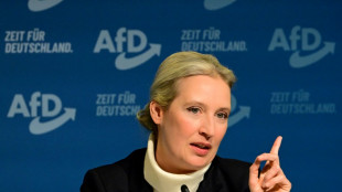 Kampf gegen den "Hippie-Staat": AfD-Vorstand k&uuml;rt Weidel zu Kanzlerkandidatin