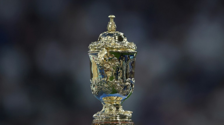 Afrique du Sud-Nouvelle-Z&eacute;lande, apoth&eacute;ose de la Coupe du monde de rugby 