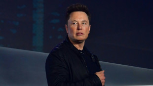 Elon Musk spricht vor Midterms Wahlempfehlung f&uuml;r Republikaner aus