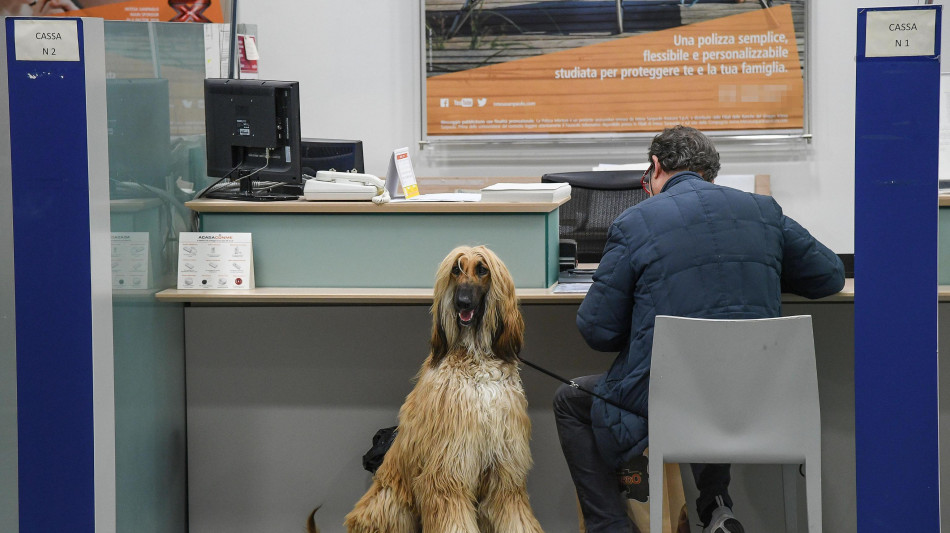 Crif, pi&ugrave; italiani accedono al credito ma per importi minori