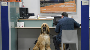 Domani al via bonifici istantanei senza extra-costi