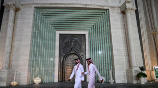 C&oacute;mo Catar ha intentado ganarse el favor de los hinchas
