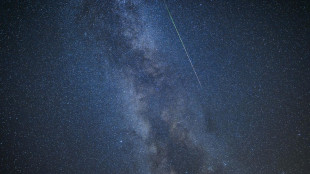 Nuovo intruso del Sistema solare forse fra le comete più antiche