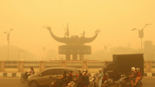 La pollution due aux incendies a tu&eacute; 3.560 Indon&eacute;siens en septembre 