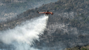 Inondations et incendies en Gr&egrave;ce: face aux critiques, Mitsotakis promet des r&eacute;formes