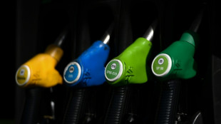 Carburants: l'ex&eacute;cutif maintient la pression sur les distributeurs