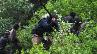 Militares desplegados en Honduras para evitar que se convierta en un pa&iacute;s productor de coca