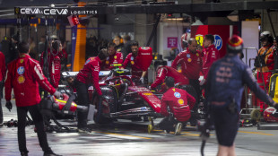 F1: Hamilton "sessione deludente, siamo stati sfortunati"