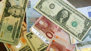 Dollaro in caduta libera, l'euro sale ai massimi dal 2022