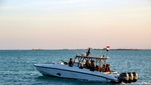 Nuevo ataque de rebeldes hut&iacute;es de Yemen contra un buque en el mar Rojo