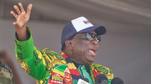 Zimbabwe's 80-year-old 'Crocodile' president seeks new term
