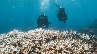 El sombrío futuro del coral en un mundo sobrecalentado