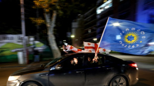 Georgiens pro-europ&auml;ische Opposition weist "gef&auml;lschte" Wahlergebnisse zur&uuml;ck 