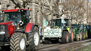 Mercosur: forte mobilisation d'agriculteurs europ&eacute;ens &agrave; Strasbourg