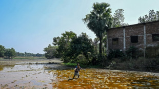 Battery boom drives Bangladesh lead poisoning epidemic