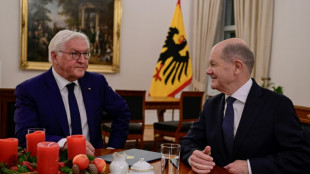 Steinmeier nimmt Gespr&auml;che mit Fraktionen &uuml;ber Neuwahl auf