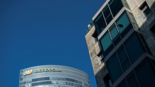 Iberdrola invertirá 68.000 en Reino Unido, EEUU y Brasil