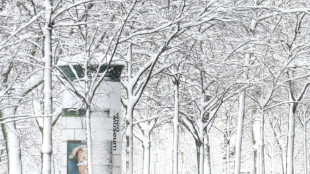 Austria snowstorm leaves five dead, road and power chaos