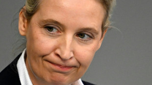 AfD zu Treffen von Rechtspopulisten in Washington eingeladen