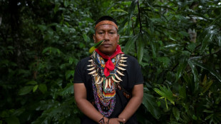 L&iacute;der ind&iacute;gena espera que a Amaz&ocirc;nia ganhe 'for&ccedil;a' na COP16