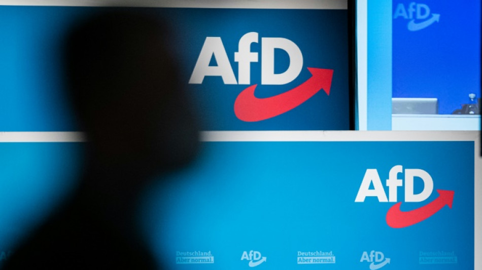 Gericht: Verbot von Brandenburger AfD-Wahlspot war rechtens