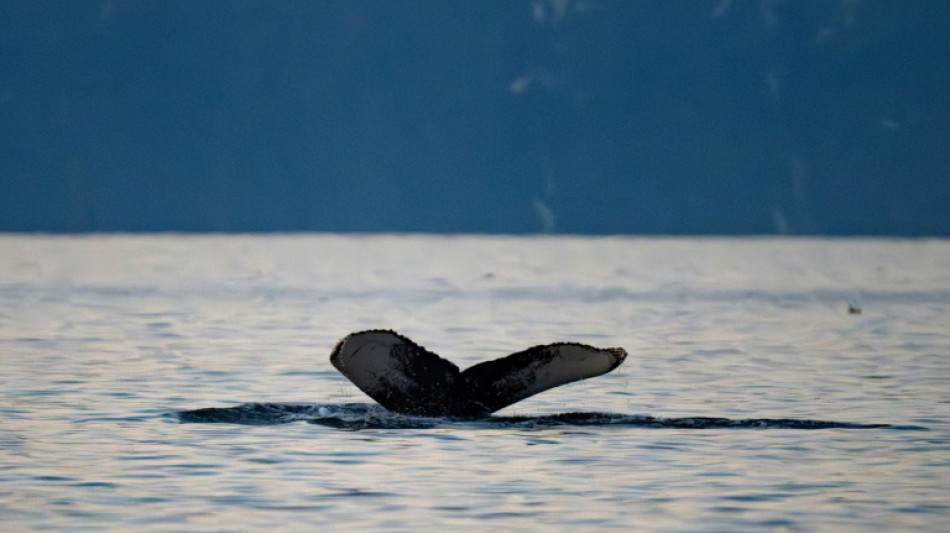 Prospection mini&egrave;re sous-marine: la Norv&egrave;ge somm&eacute;e de s'expliquer devant la justice