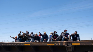 Suspenden la operaci&oacute;n de trenes mexicanos usados por migrantes para llegar a EEUU
