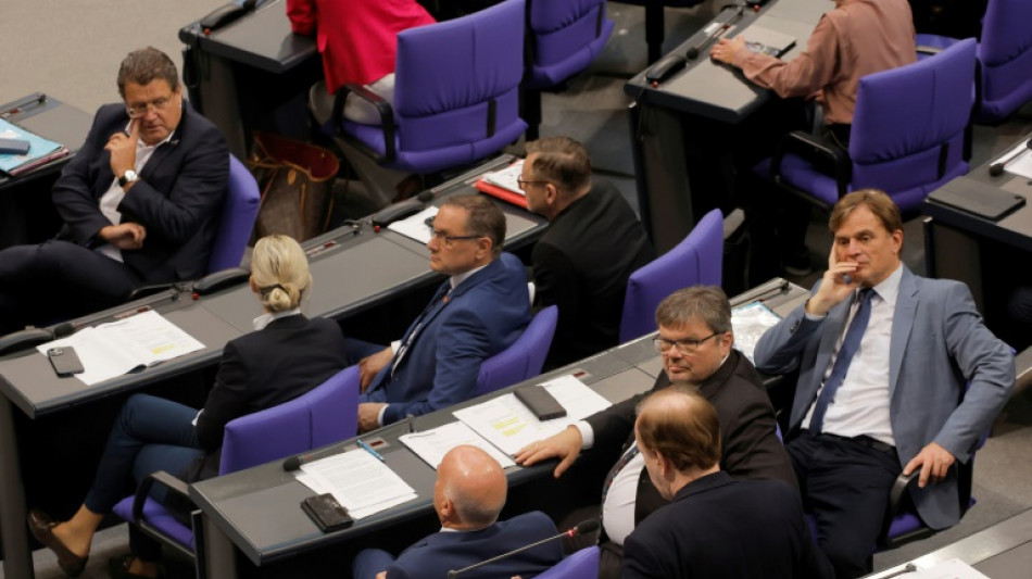Bericht: AfD im Bundestag besch&auml;ftigt &uuml;ber 100 Mitarbeiter aus rechtsextremem Milieu