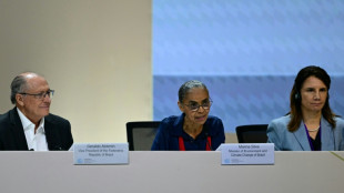 La presidencia brasile&ntilde;a de la COP30 publica un primer borrador de compromiso