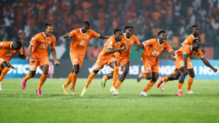 CAN: La C&ocirc;te d'Ivoire &eacute;limine le S&eacute;n&eacute;gal (1-1, 5 t.a.b. &agrave; 4) et va en quarts
