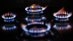 I futures su gas in frenata, Ttf -4,2%