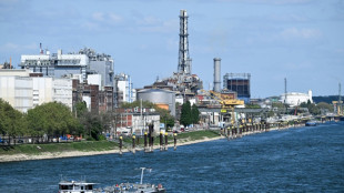 German chemical giant BASF urges overhaul of EU carbon scheme