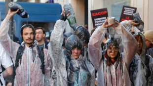 Colle, soupe &agrave; la tomate et d&eacute;termination : armes des militants du climat 