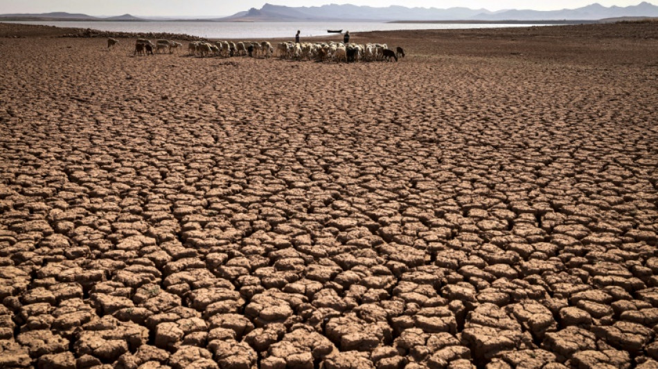 Climat: le monde vers +2,6&deg;C &agrave; cause d'engagements "pitoyablement" insuffisants