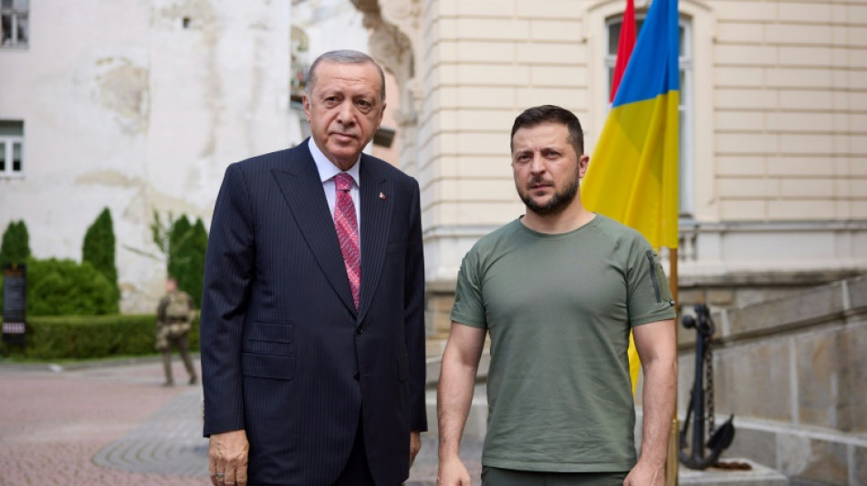 Zelensky en Turquie &agrave; la veille du 500e jour de l'invasion russe de l'Ukraine