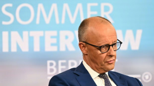 Merz warnt vor wirtschaftlichen Folgen einer AfD-Regierung in Sachsen-Anhalt