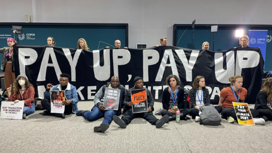 COP29 negotiators strive for deal after G20 'marching orders'