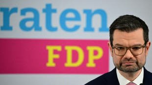 Buschmann: Begriff "D-Day" k&ouml;nnte in Gespr&auml;chsrunden gefallen sein 