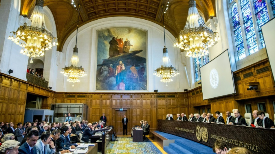 La CIJ se prononce sur des all&eacute;gations de torture en Syrie