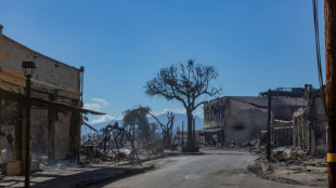 Incendies &agrave; Hawa&iuml;: 110 morts, les autorit&eacute;s assument de ne pas avoir utilis&eacute; les sir&egrave;nes d'alarme
